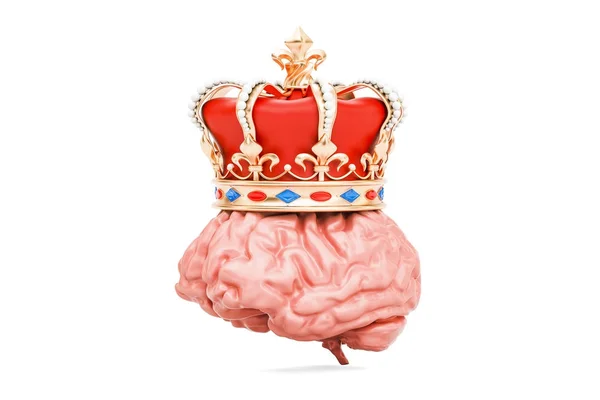 Cerebro con corona real dorada, representación 3D — Foto de Stock
