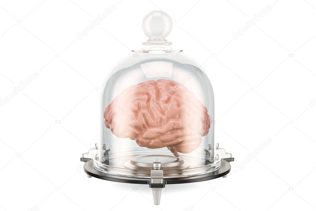 Human brain covered by glass bell, 3D rendering