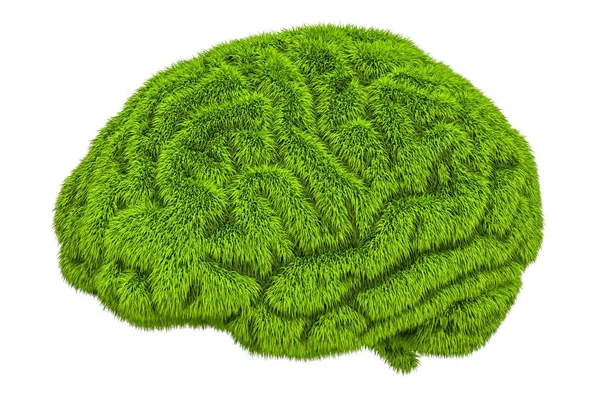 Cerebro herboso verde, representación 3D — Foto de Stock