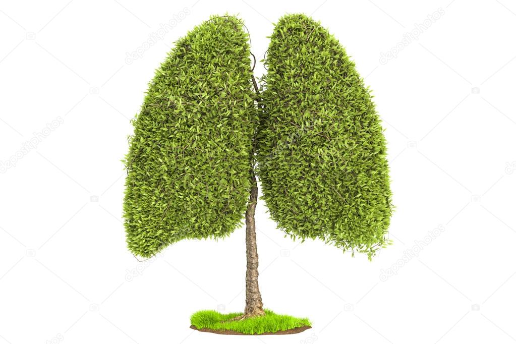 Tree in the shape of lungs, eco concept. 3D rendering