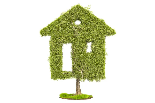 Drzewa w kształcie domu. Ekologiczny dom koncepcja, 3d renderin — Zdjęcie stockowe