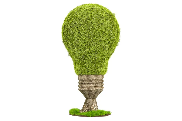 Tree shaped as light bulb, renewable energy concept. 3D renderin — Stock Photo, Image