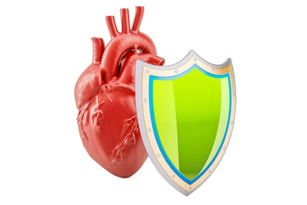 Человеческое сердце со щитом, концепция медицинской страховки. 3D рендеринг — стоковое фото