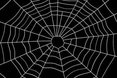 Örümcek ağı, 3d render