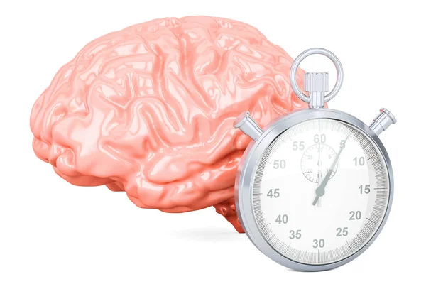 Cerebro humano con cronómetro, representación 3D — Foto de Stock