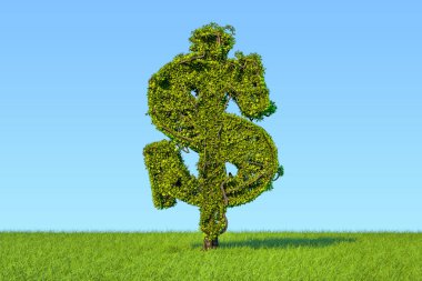 Para ağacını yeşil çim agai üzerinde bir dolar işareti şeklinde