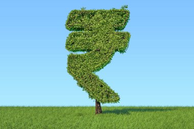 Para ağacını yeniden yeşil çim Rupisi sembolü şeklinde