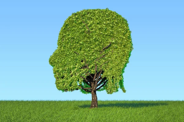 Human head shaped tree on the green grass against blue sky, 3D r
