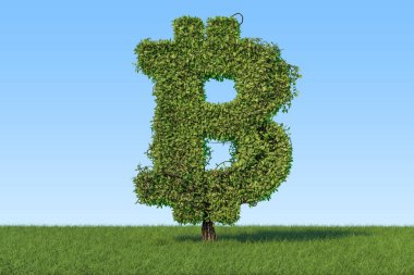 Para ağacını yeşil çim aga bitcoin sembolü şeklinde