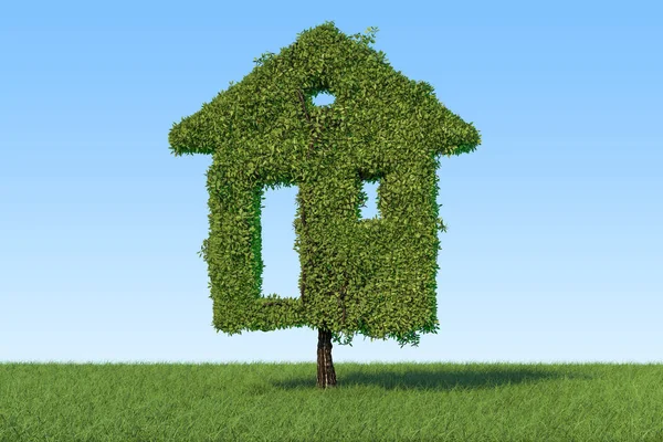 Concept de maison écologique. Arbre en forme de maison sur le vert — Photo