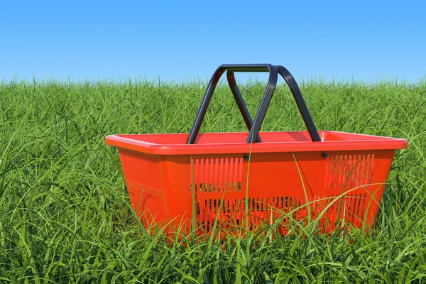 Cesta de compras na grama verde contra o céu azul, renderin 3D — Fotografia de Stock