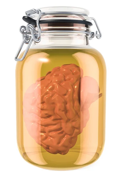 Человеческий Мозг Внутри Стекла Жидкостью Рендеринг Изолирован Белом Фоне — стоковое фото