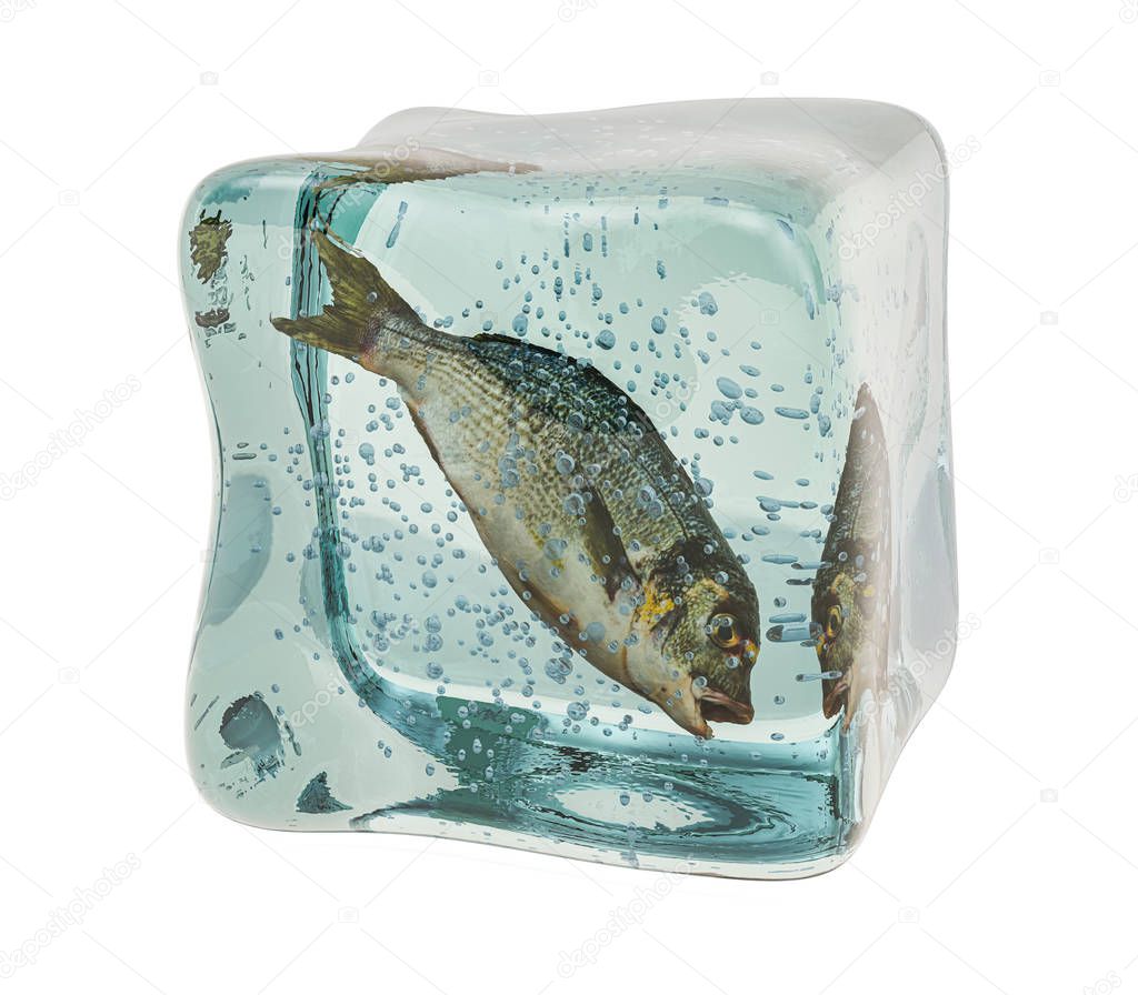 Raw dorade fish frozen in ice cube, 3D rendering