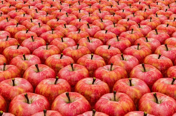 Фон из красных яблок с реалистичной текстурой, 3D рендеринг — стоковое фото