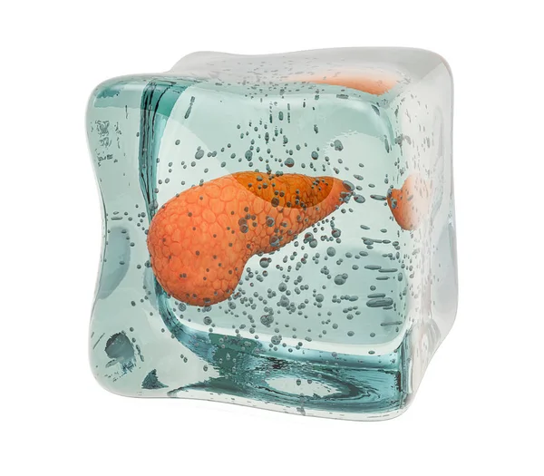 Páncreas humano congelado en cubo de hielo, representación 3D —  Fotos de Stock