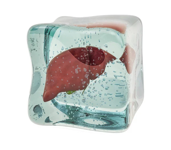 Hígado humano congelado en cubo de hielo, representación 3D —  Fotos de Stock