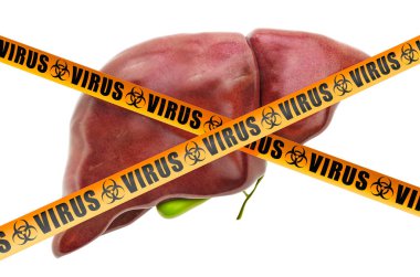 Karaciğer virüsü konsepti, 3D görüntüleme