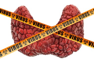 Tiroid bezi virüsleri, 3 boyutlu görüntüleme