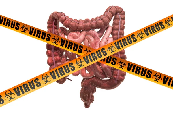 Vírus do intestino humano. Renderização 3D — Fotografia de Stock