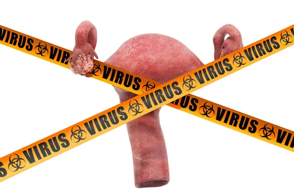 Uterus viruses concept. 3D rendering — 스톡 사진
