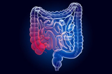 Pain in human intestines, bowel concept. Ghost light effect clipart
