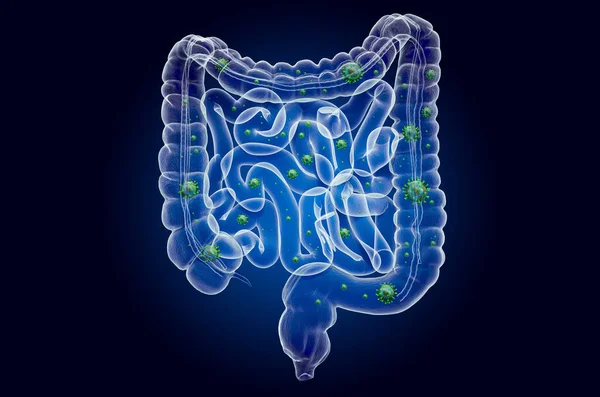 Human bowel with virus, ghost light effect, x-ray hologram — Stock Photo, Image