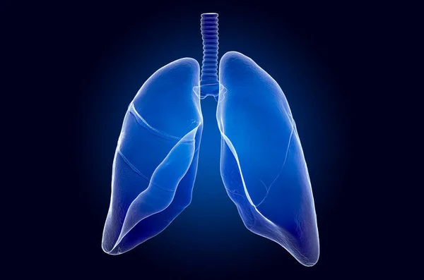 Ludzkie płuca, hologram rentgenowski. 3d renderowanie — Zdjęcie stockowe