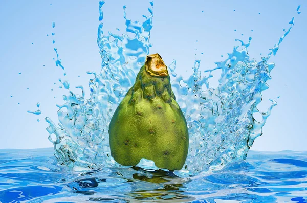 Opuntia cacto com respingos de água, renderização 3D — Fotografia de Stock