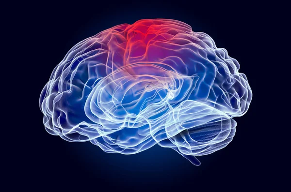 Cerebro, enfermedad del concepto de lóbulo parietal. Renderizado 3D —  Fotos de Stock
