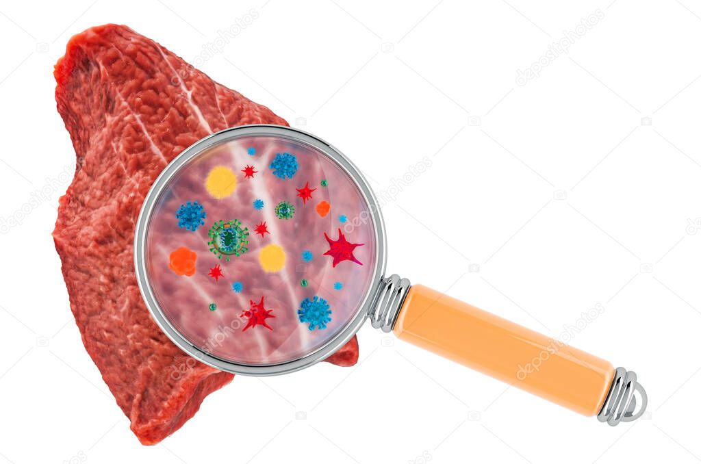 Beef meat with germs, microbes or viruses under magnifying glass, 3D rendering isolated on white background