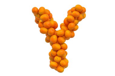 Portakallardan Y harfi, beyaz arkaplanda 3 boyutlu görüntüleme