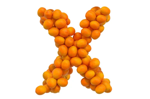 Letter Oranges Rendering Isolated White Background — Stock Photo, Image
