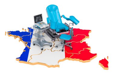 Fransa 'da jinekoloji ve doğum konsepti, beyaz arka planda 3 boyutlu görüntüleme