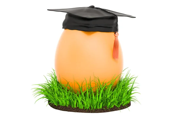 Huevo Con Sombrero Educación Hierba Verde Representación Aislado Sobre Fondo —  Fotos de Stock