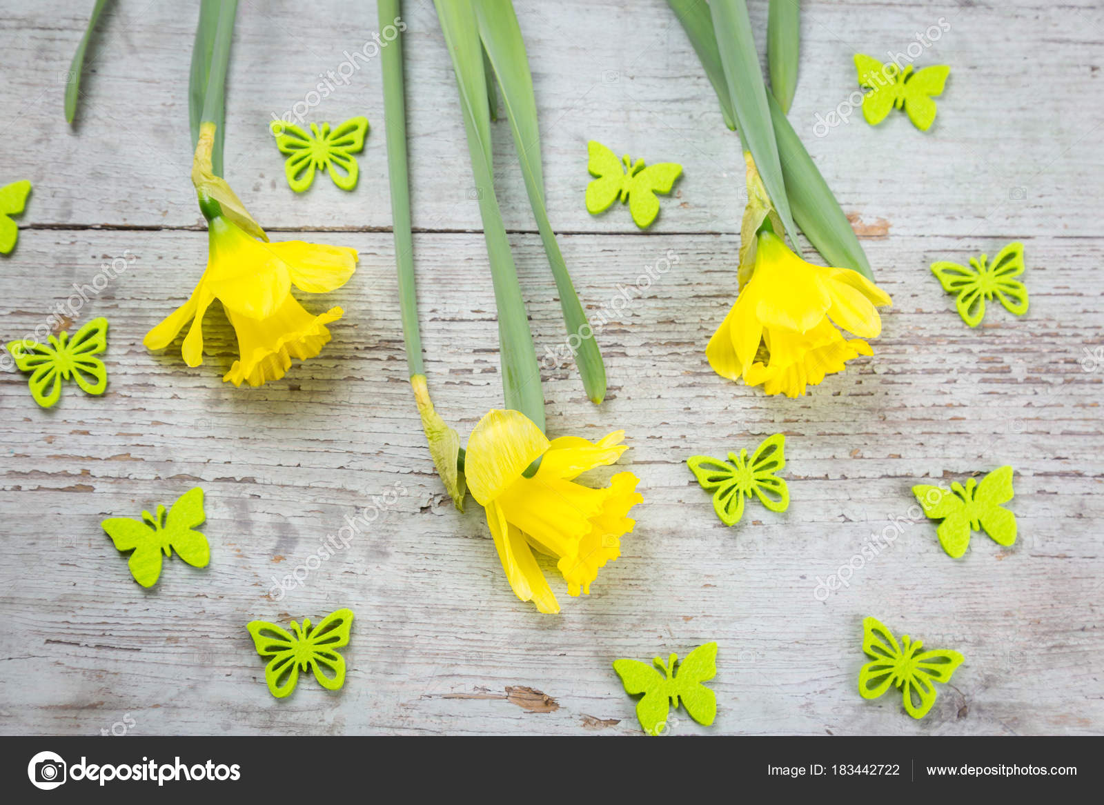 Colorful Fresh Yellow Daffodils Flying Butterfly Decorations