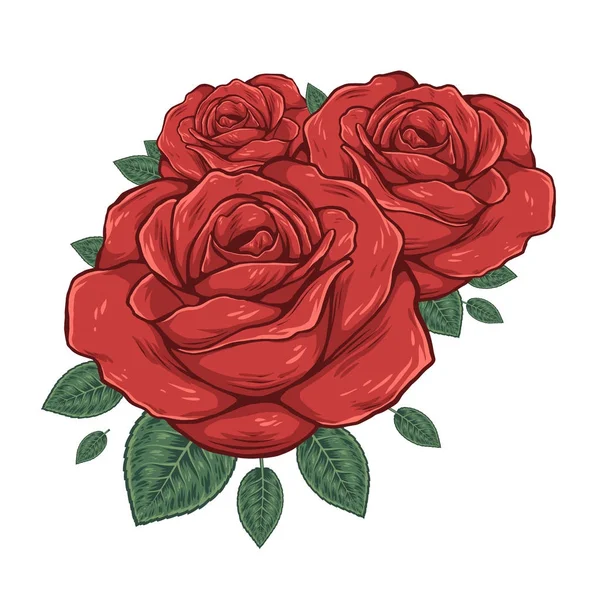 Buds Roses Vector Illustration — Stock Vector