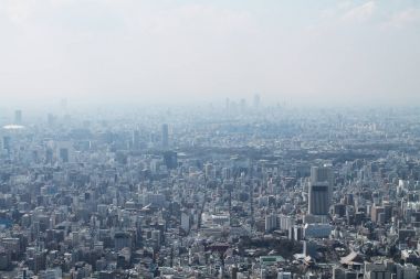 Tokio von Oben - Gökyüzü Ağacı Görünümü
