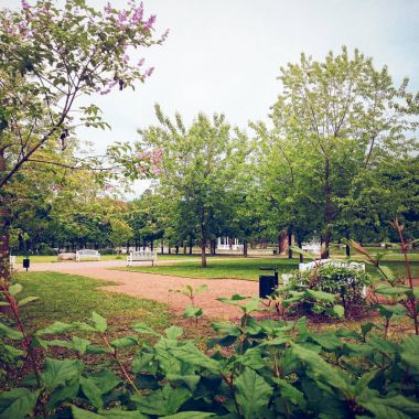 Parlak bir yaz gününde muhteşem bir şehir parkı.
