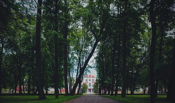 Boulevard en un parque que conduce a un castillo de Kadriorg. — Foto de Stock