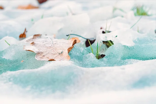 Pelouse verte avec neige fondante — Photo