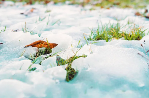 Gramado de grama verde com neve derretida — Fotografia de Stock