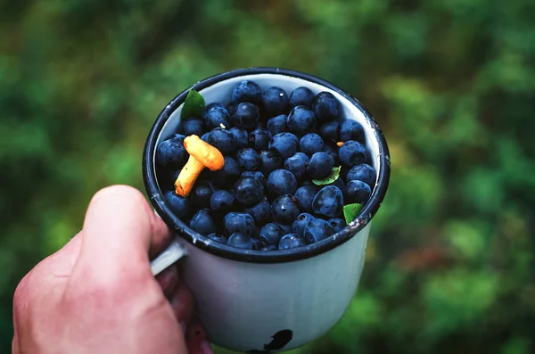 搪瓷杯子，蓝莓 — 图库照片