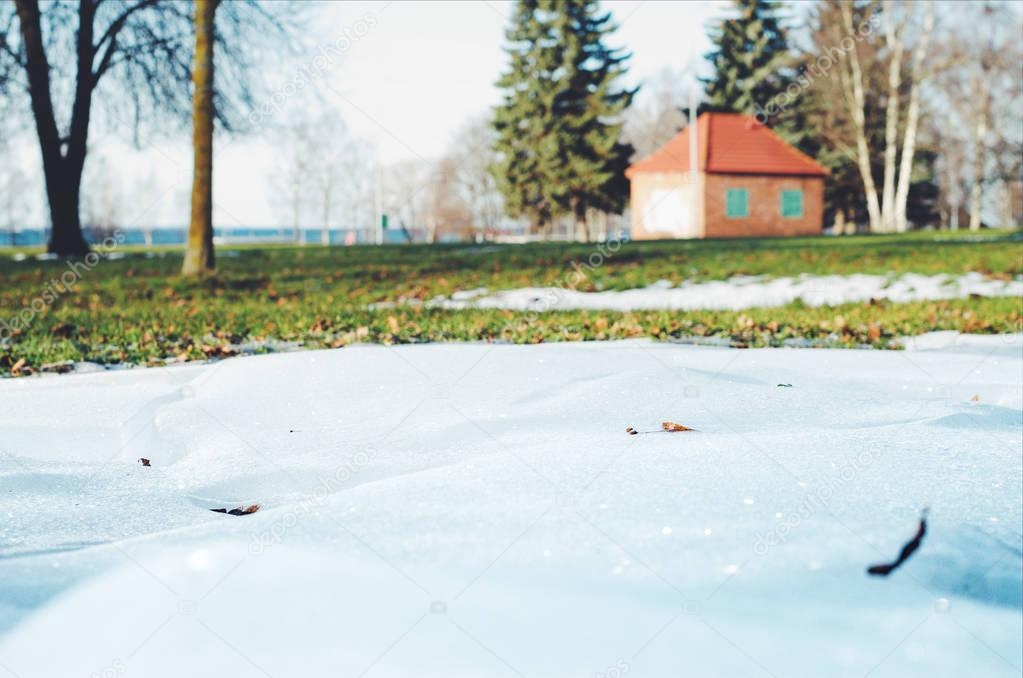 Melting snow in a park