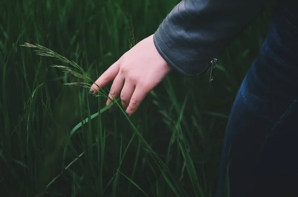 Swiping hand through the hay field — Stock Photo, Image