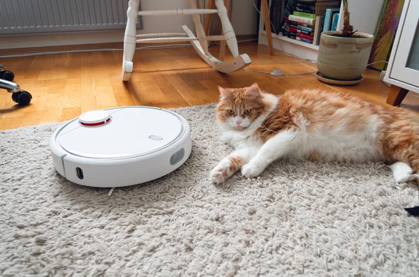 Ginger cat lying on a carpet side by side with a robot vacuum cleaner.