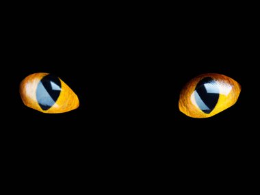 Siyah bir zemin üzerine koyu turuncu kedi gözleri parlayan.