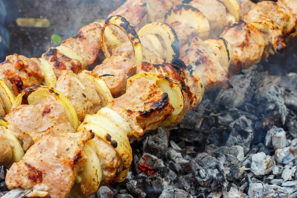 Gustosa carne succosa cotta sugli spiedini in un fuoco — Foto Stock