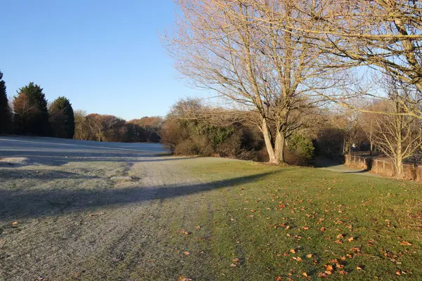 Frost'un üzerinde golf sahası — Stok fotoğraf