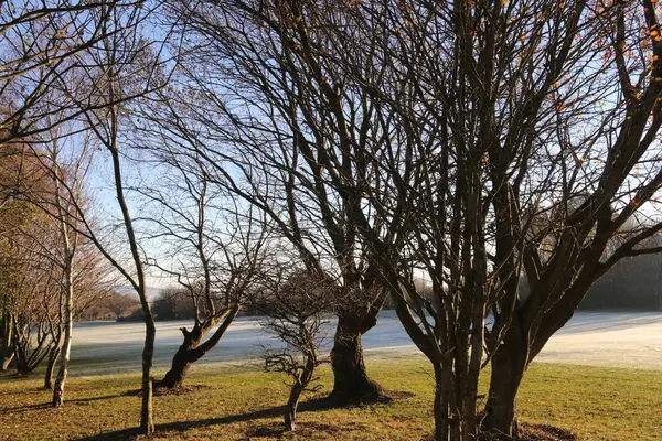 Frost'un üzerinde golf sahası — Stok fotoğraf