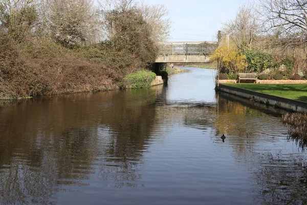 A scenic view of the Chichester canal — Stock Photo, Image